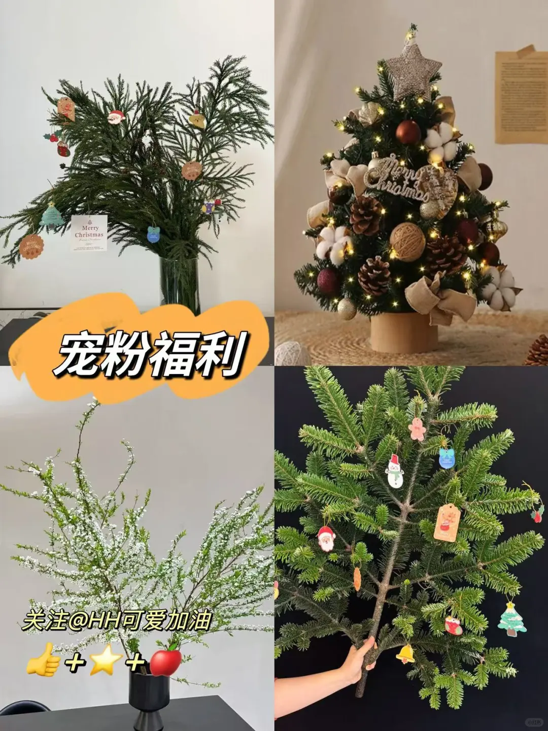 宠粉福利🎁你的圣诞礼物已送达🎄