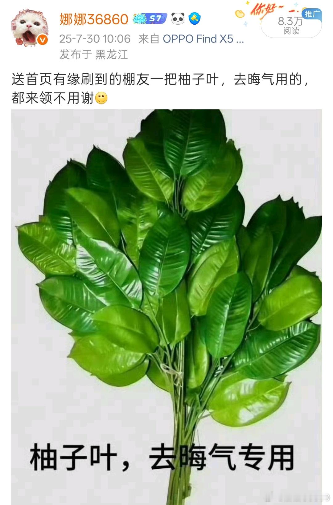 艾玛，这又是蛐蛐谁呀，记性好的想起来就生气，记性不好的忘了之前为什么生气，塞翁失