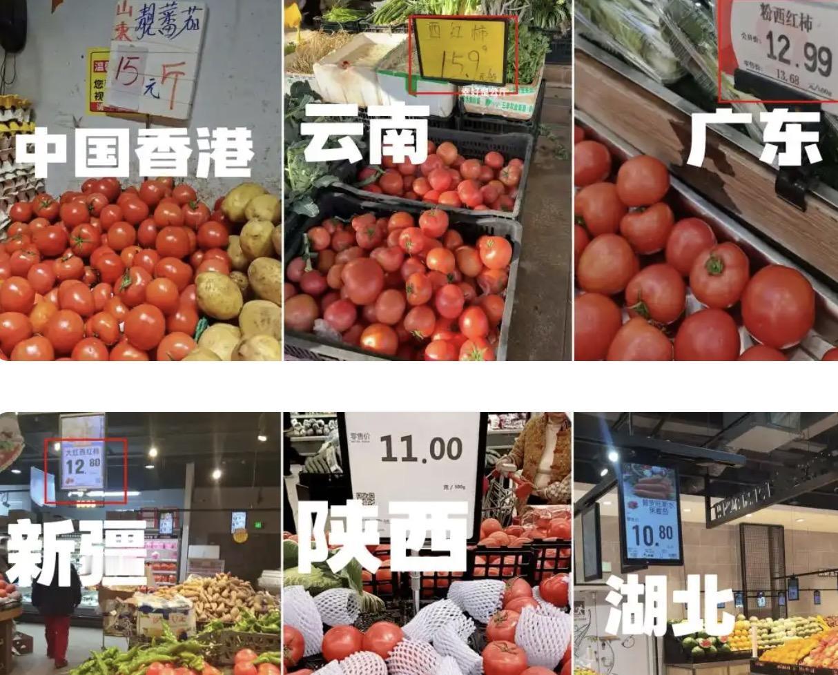 起初我还以为，只有河南最近的西红柿价格，高的有点离谱呢！原来全国各地都一样啊！