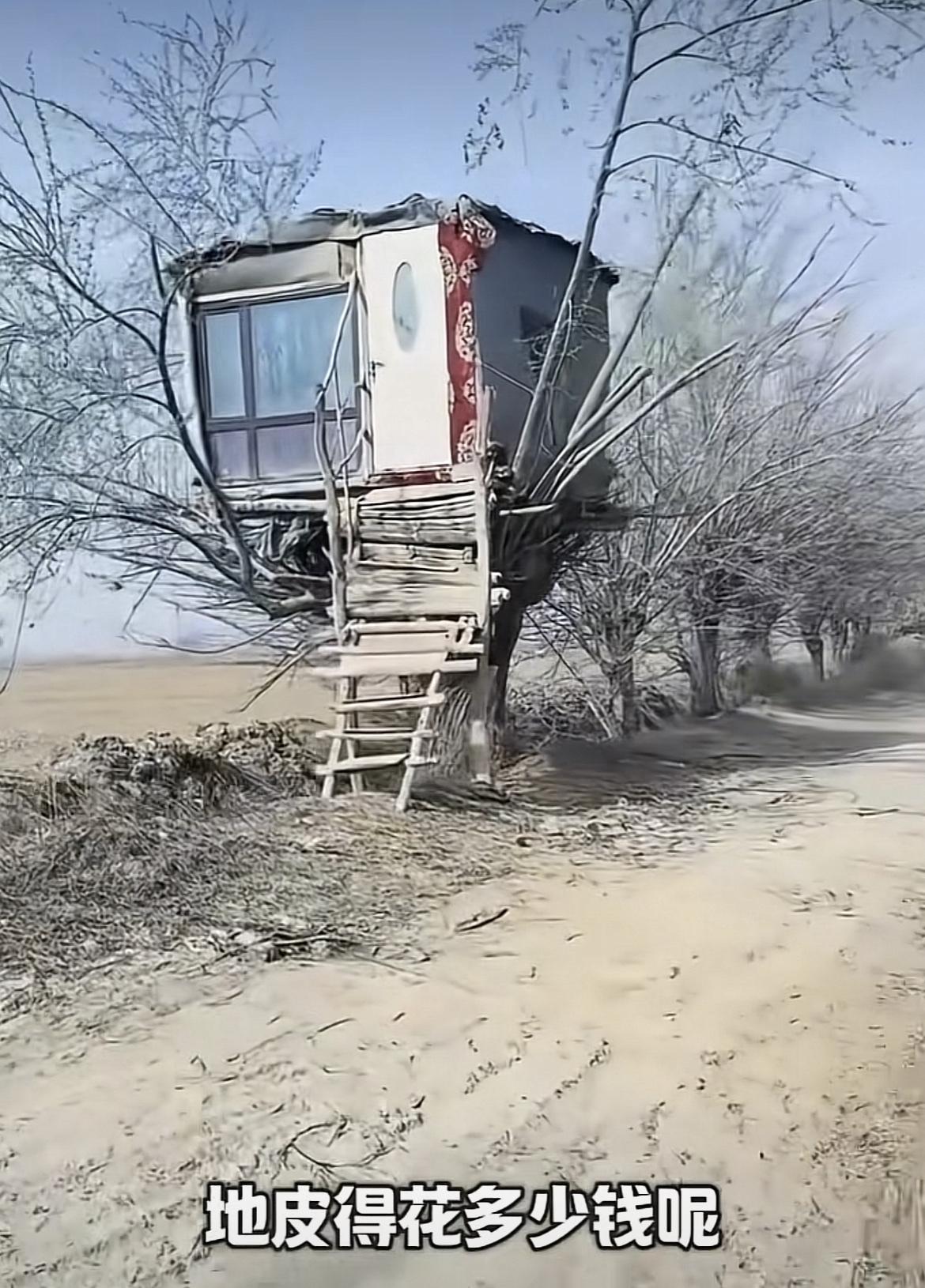 果然是高手在民间啊，东北网友晒出本村大神自建的树屋，外面奇奇特特破破烂烂，里面整