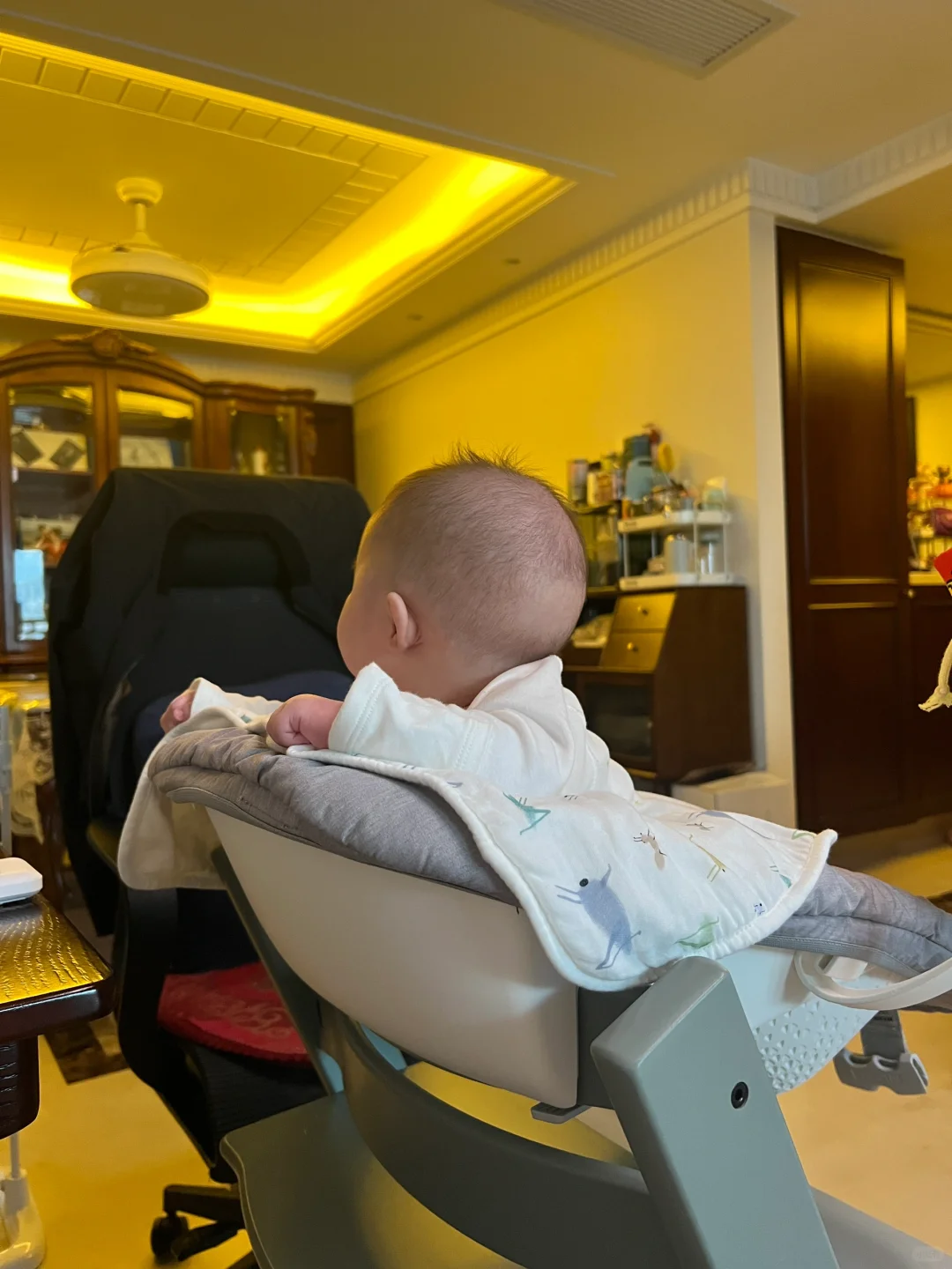 人见人夸的“小圆头”～