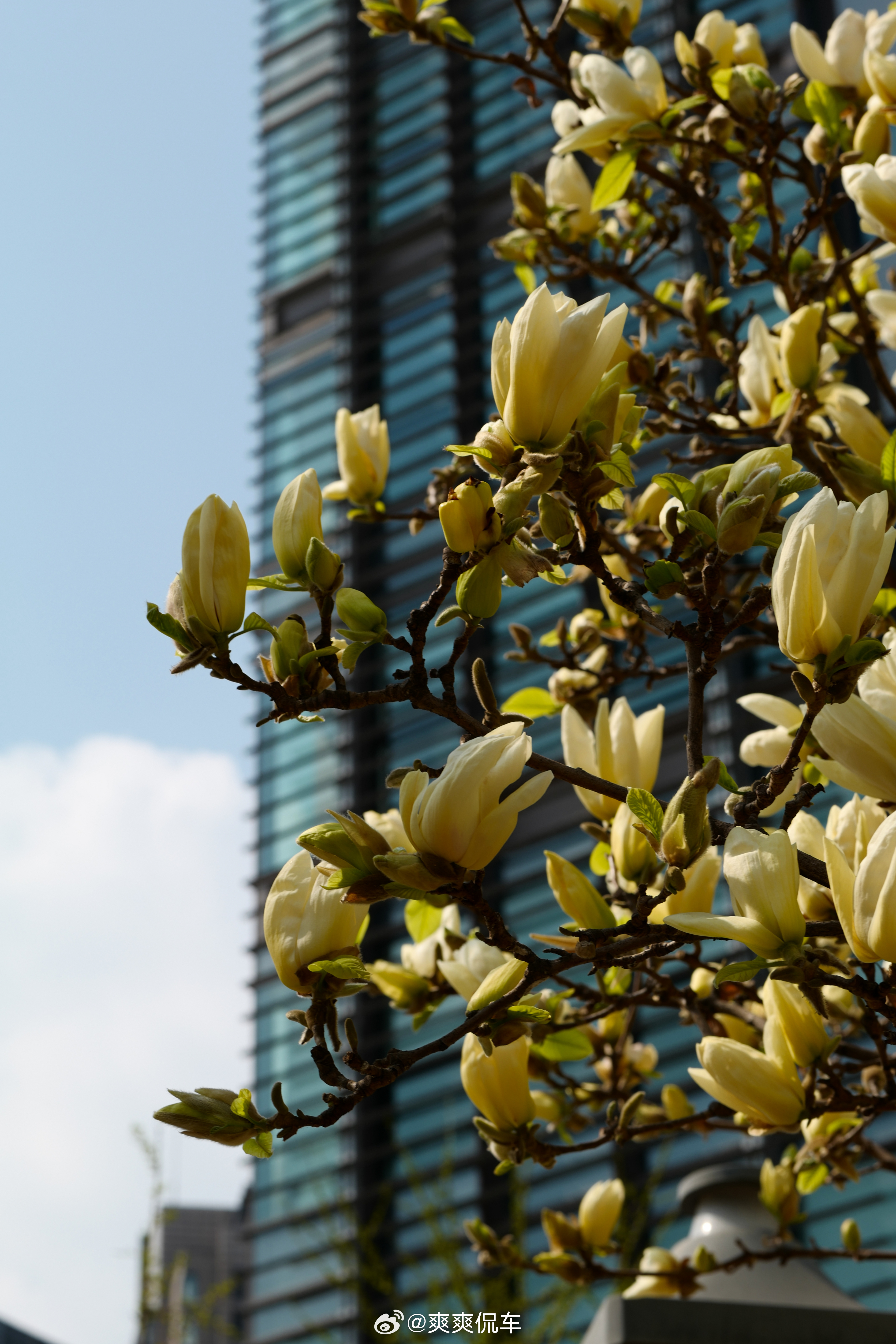 四月不能叫四月哈哈哈哈，怎么能叫四月呢，一般我们都会说Q2