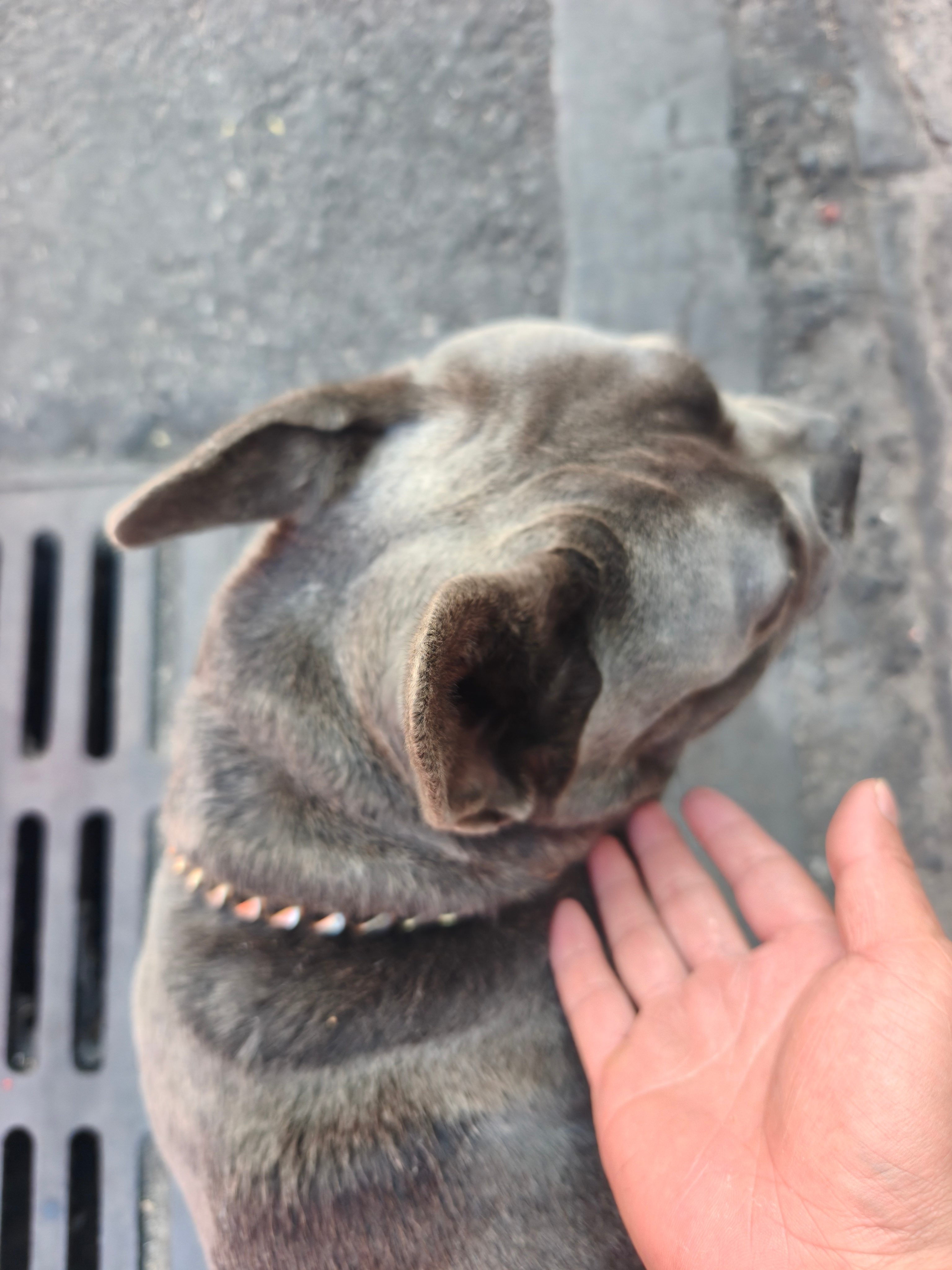 感觉现在的AI圈有人为了割韭菜故意在贩卖焦虑，包括这两天的什么龙虾，好像你不装机