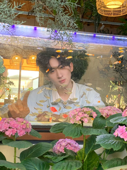 一头扎进初夏里🍃