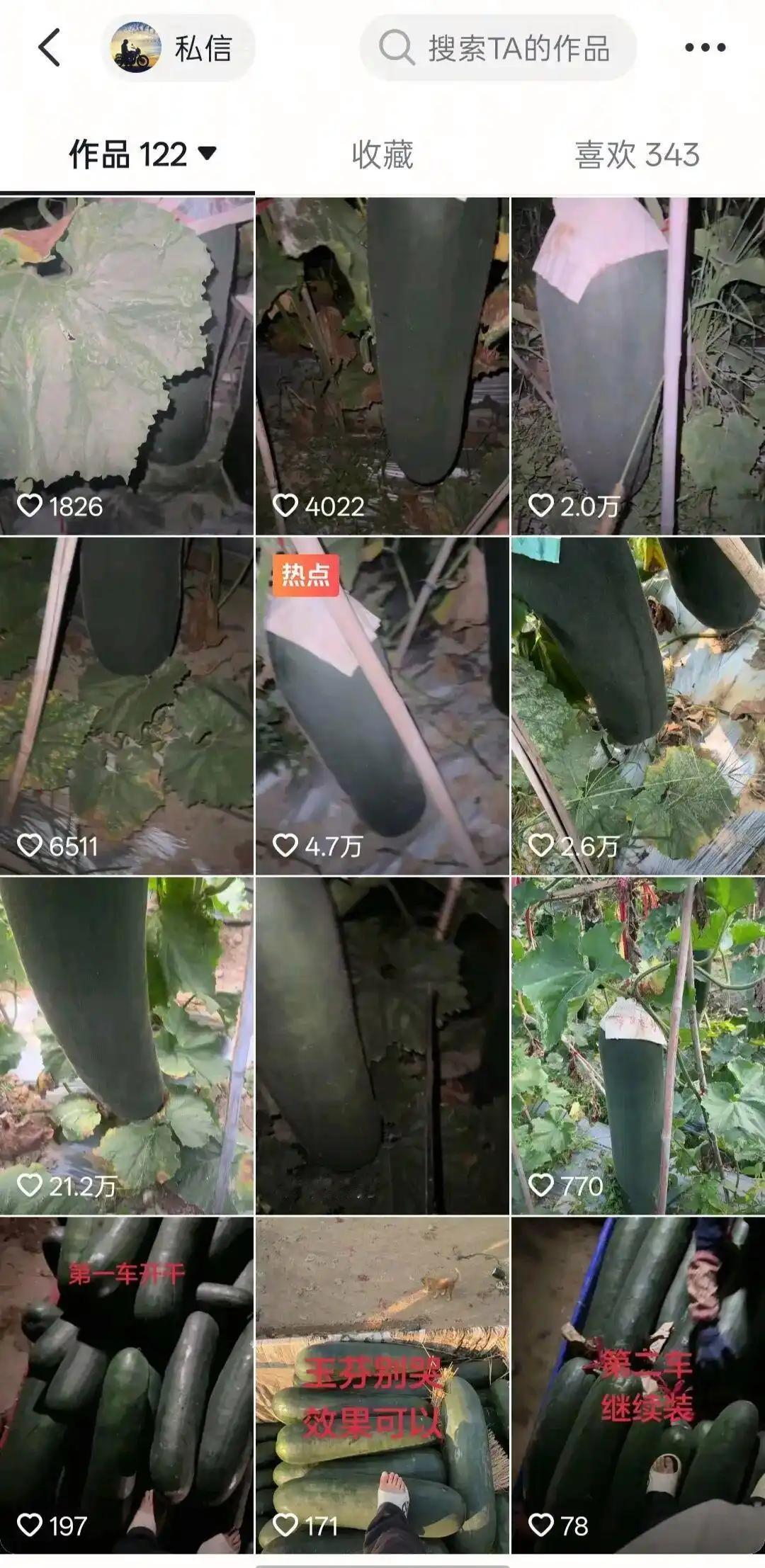 果然行行出状元！江苏一男子从事瓜果的供应商，而长久入行的经验，让他可以通过敲击瓜