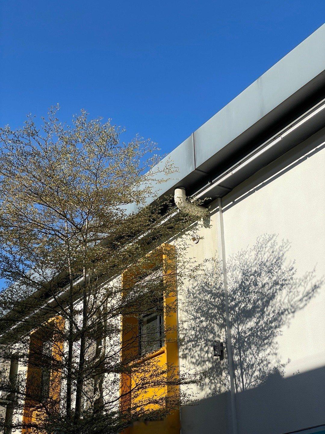 25年最后一个工作日，大家一齐用好心情迎接 2026 吧