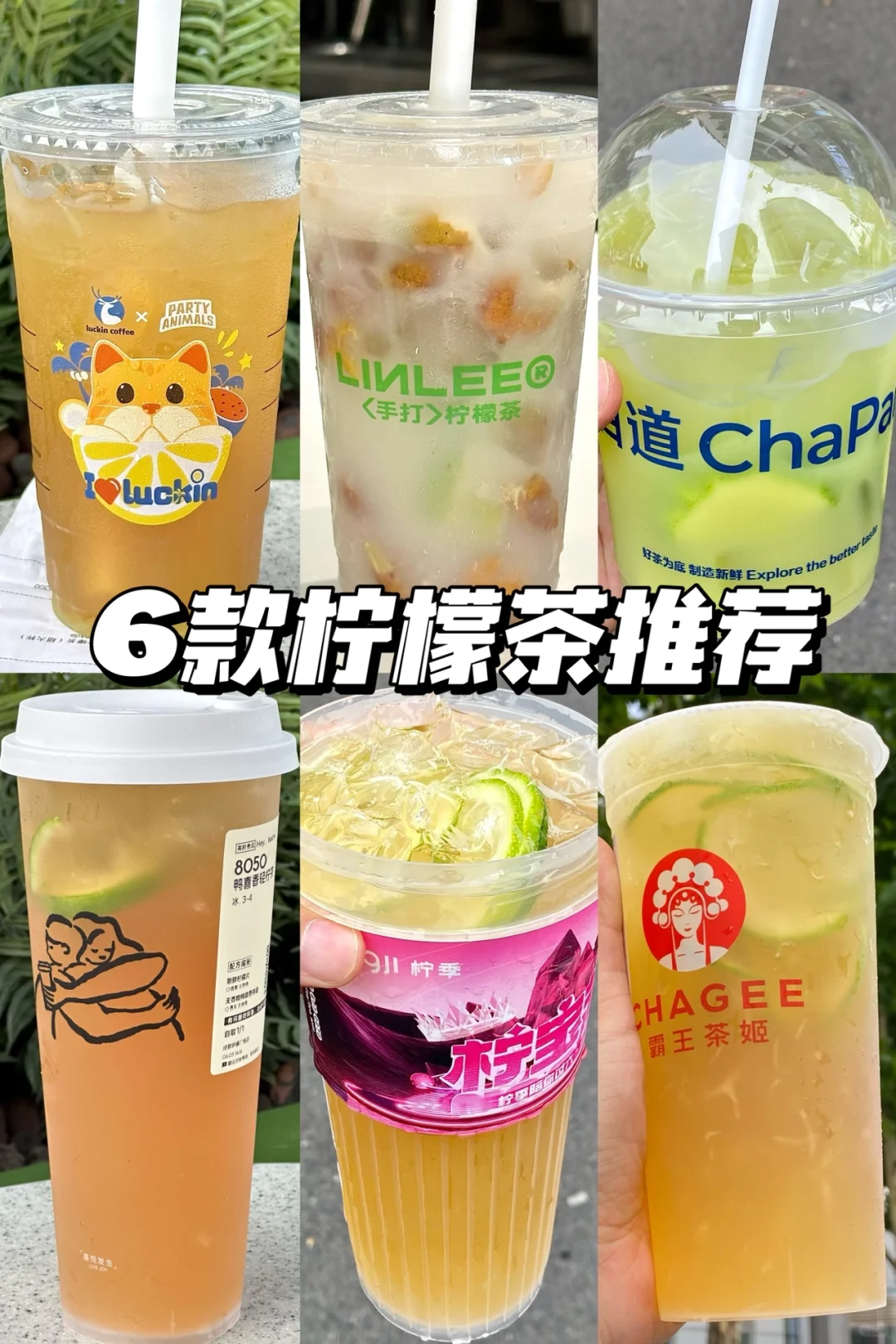 6款柠檬茶推荐！！第一款性价比jujuju高！