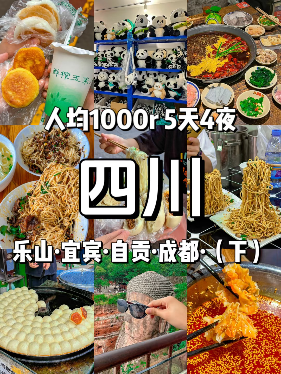 人均1000乐山宜宾自贡成都五天四夜游（下）