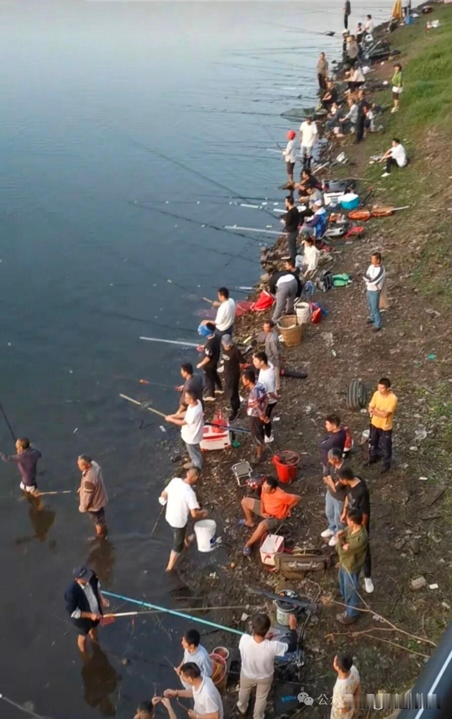 《鱼都去哪了》

文/范圣嘉

钓魚是爱好，并非为吃魚，只为一种感觉，钓到魚时的