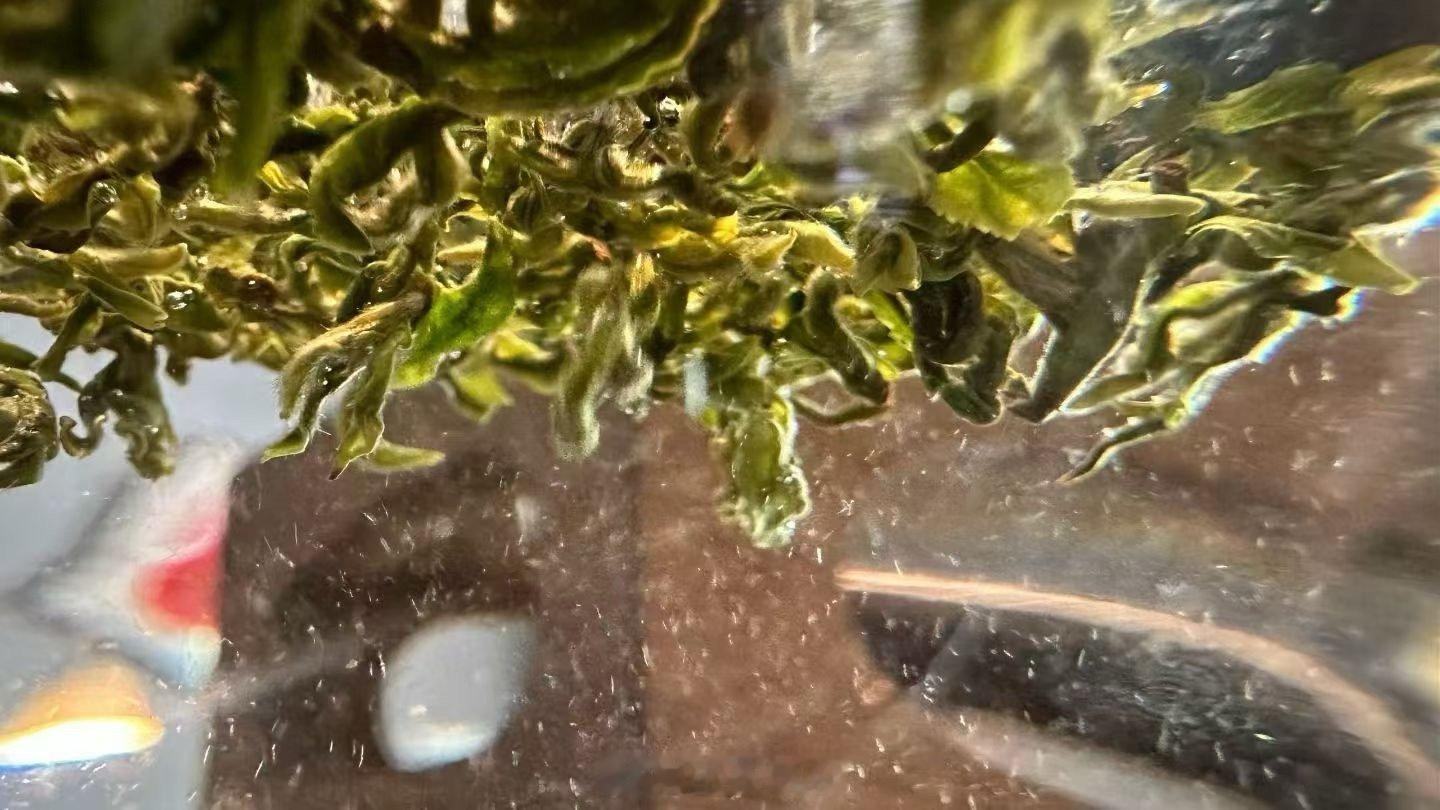 调整好状态 养好性格 好好生活，站在属于自己的高度 去看自己该看的风景 