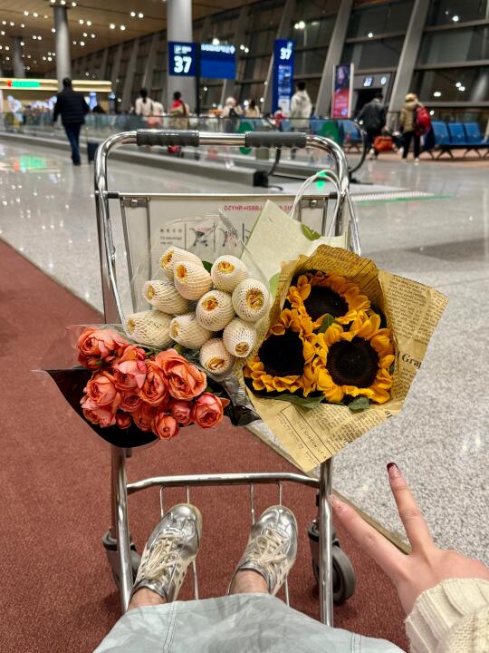 斗南花市！！亲测鲜花可以带上飞机…
