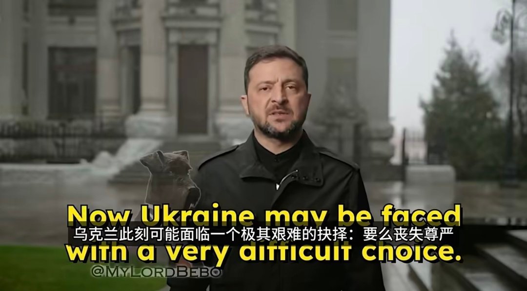 大国博弈战，小国不站边二毛打大毛，怎么可能赢？