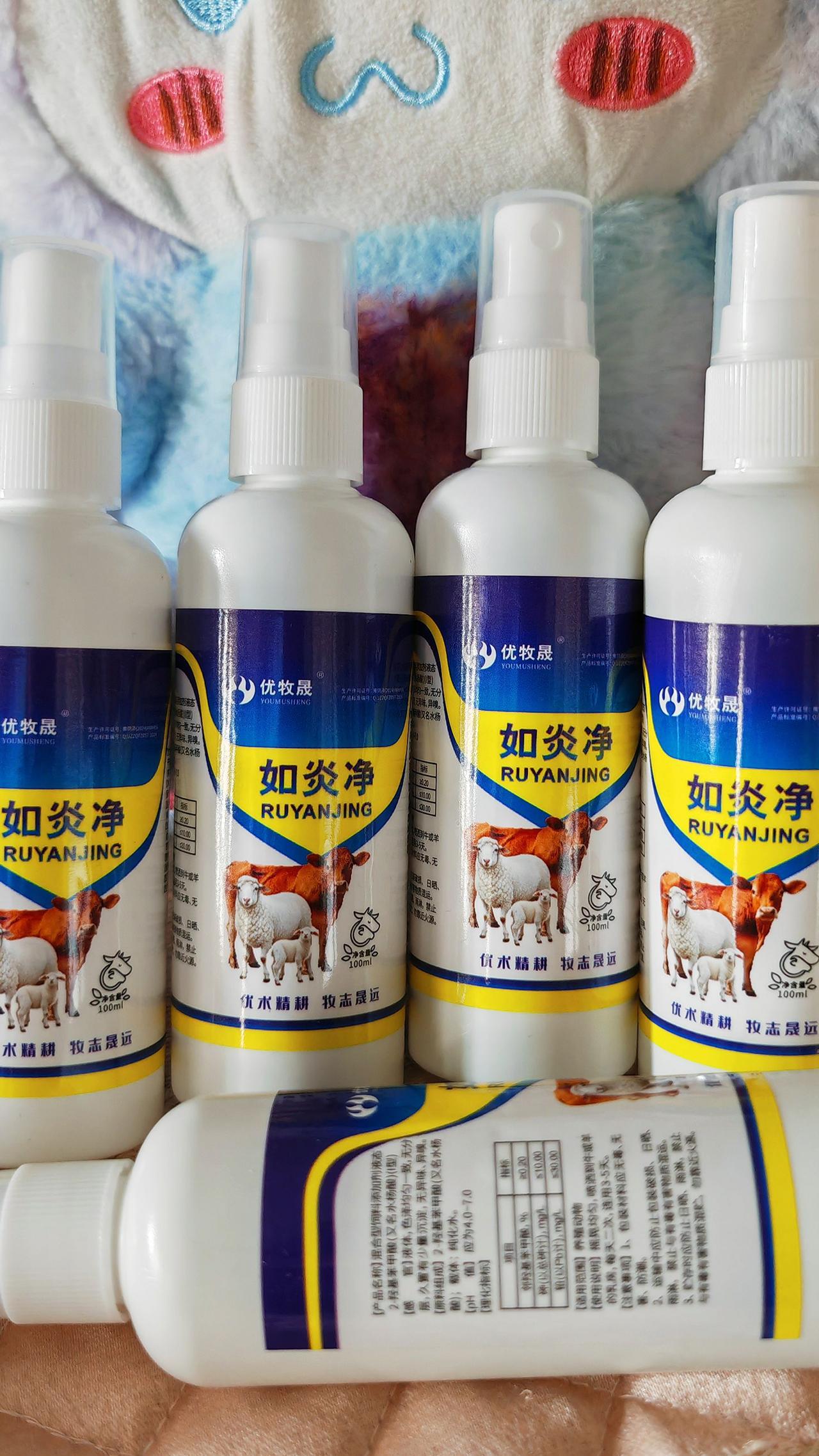 养羊人 农村养羊