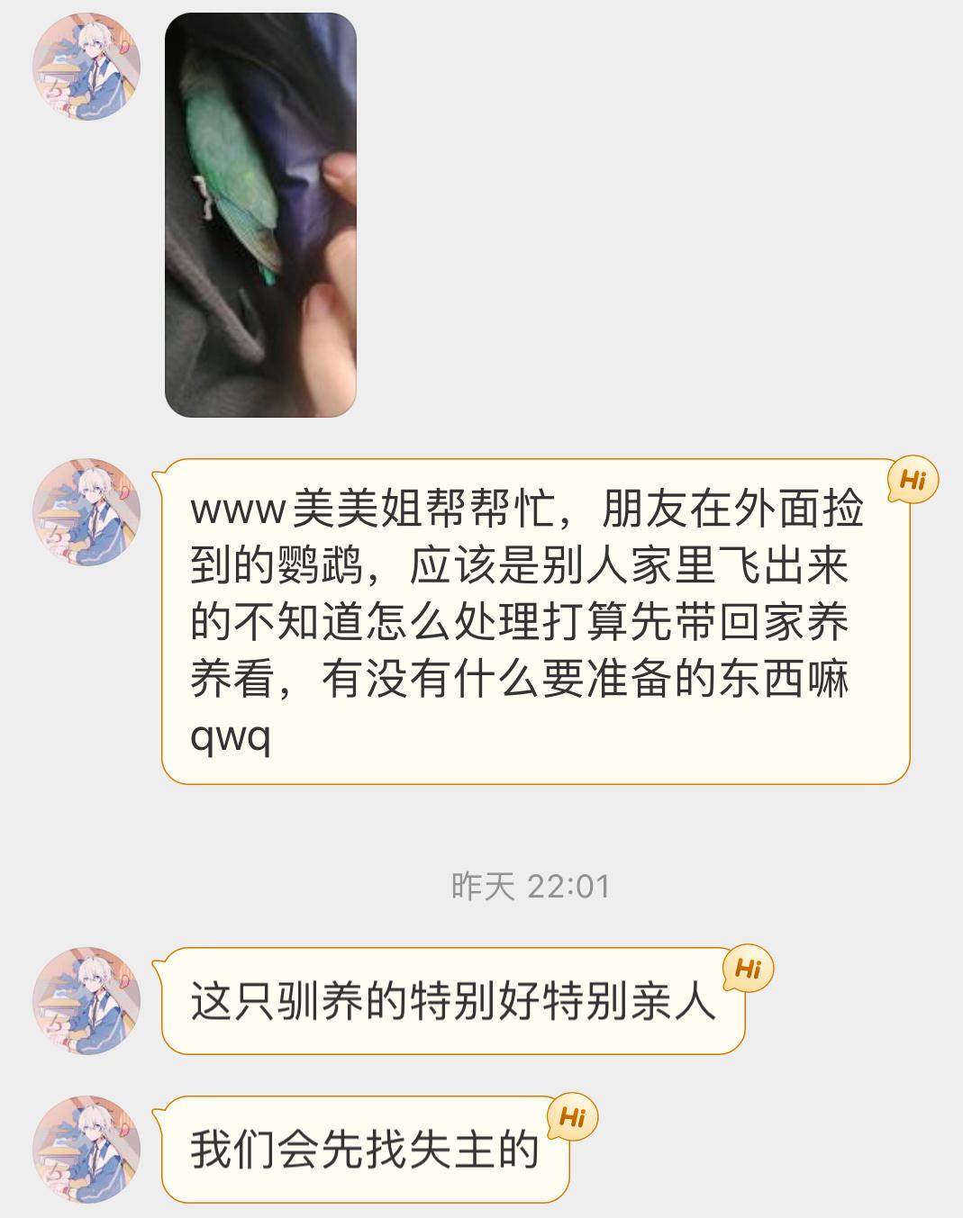 #宠物鸟投稿# 外面捡到的一只牡丹鹦鹉🦜该怎么做 三好学生来解答！ ​​​