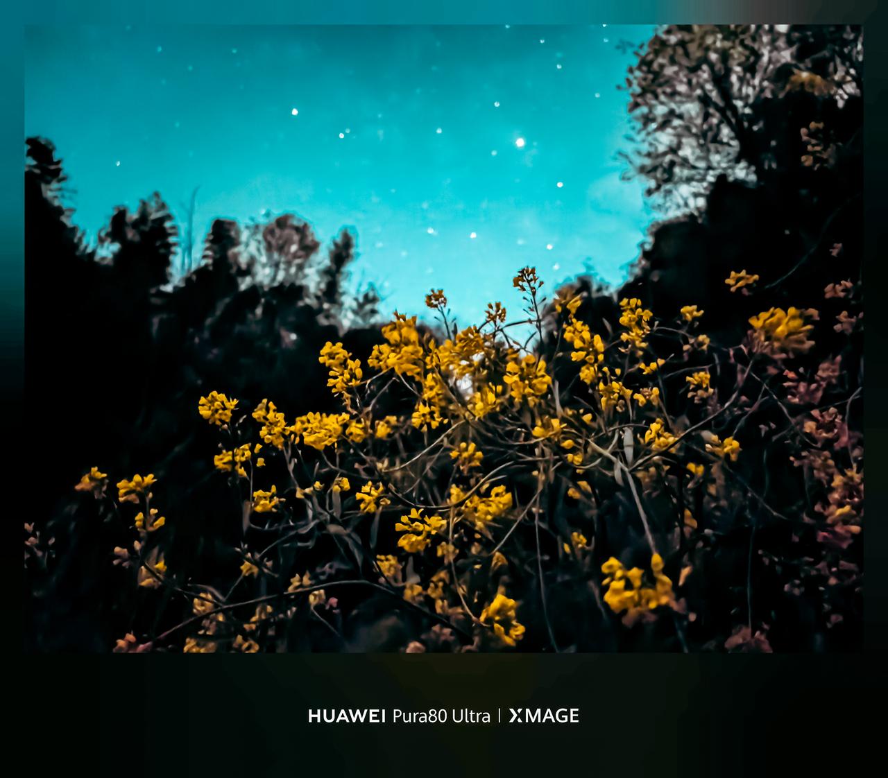 XMAGE影像，夜间星空下的菜花，宽容度真的太强了