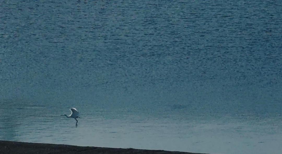 今天是婆婆去世的第二天，

刚刚去楼下烧了点纸钱💰

说是买路钱💰希望她老人