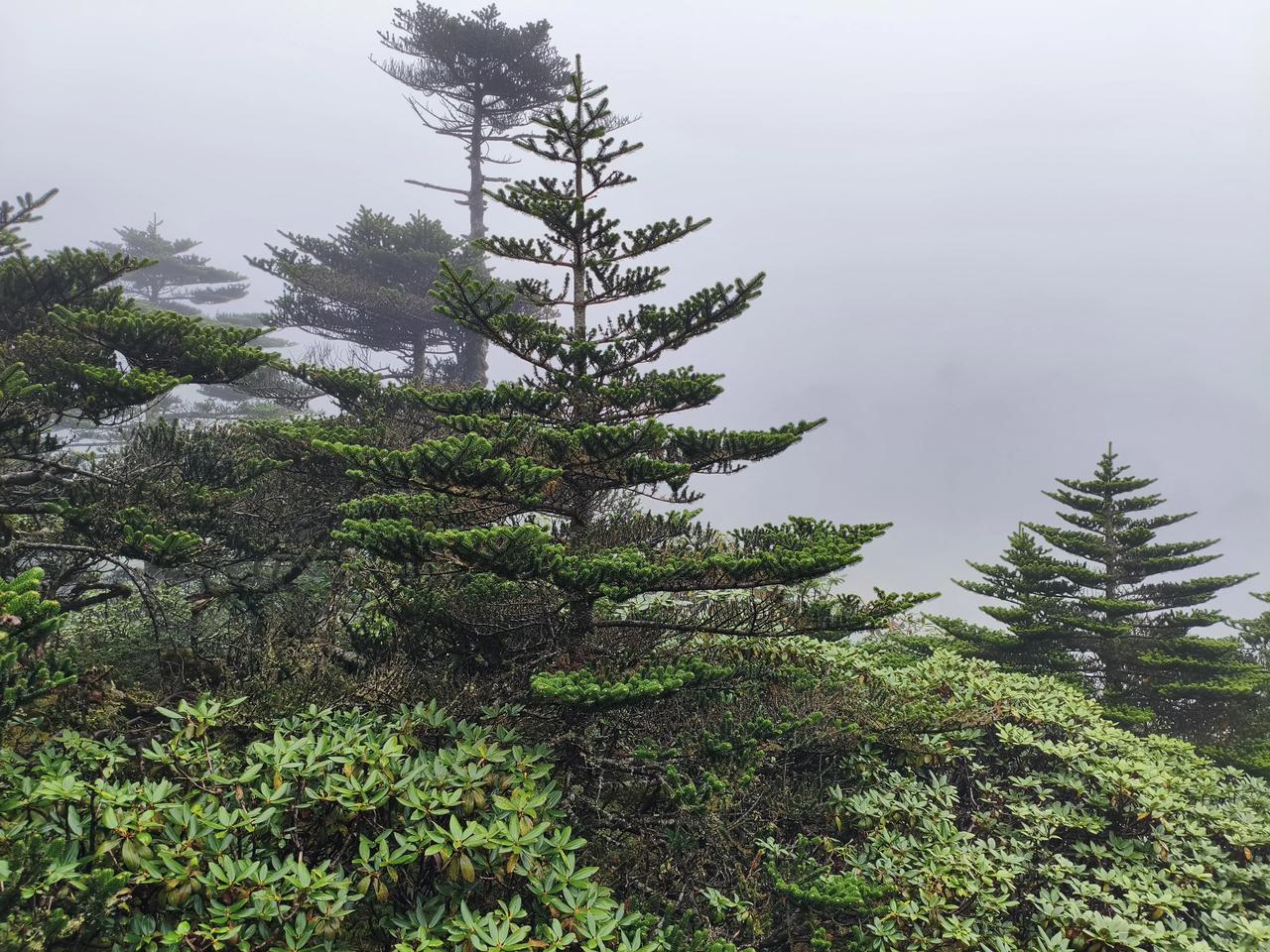 我这人没什么爱好，就喜欢到处走走看看，看看不一样的风景，吃点不一样的美食。

今