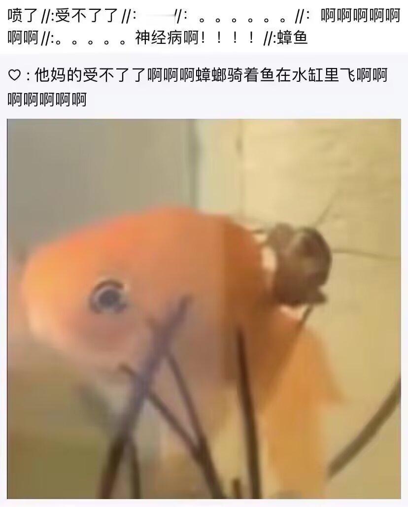 5563蟑鱼…… 