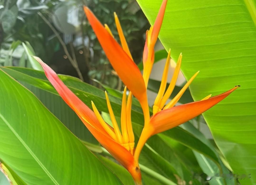 ❤️我见过太多女人，前半生为家庭、为孩子、为生活操劳，好不容易闲下来，却突然不知