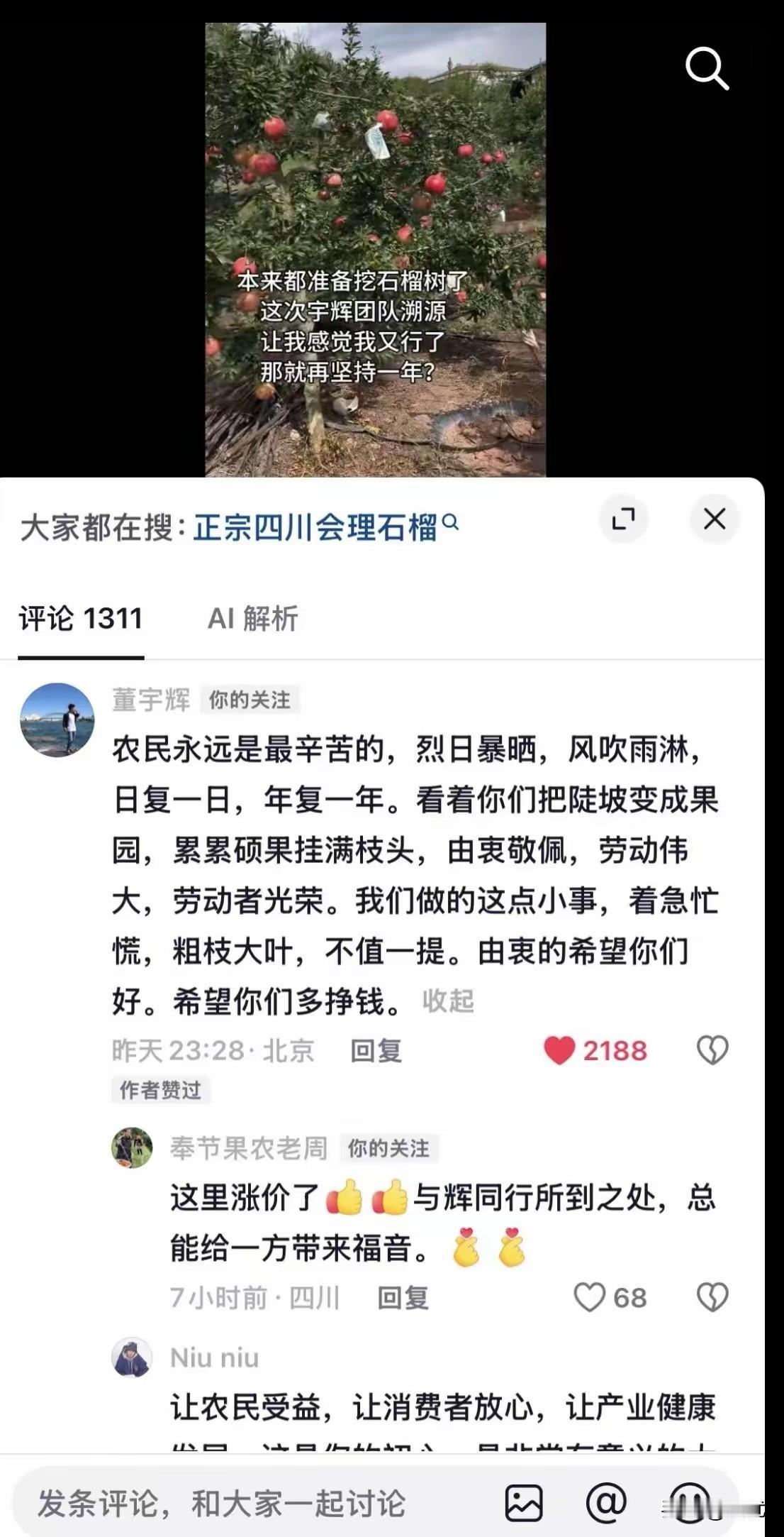 果农都准备砍石榴树，董宇辉一条评论太戳心！
 
刷到四川会理果农的视频，心里五味