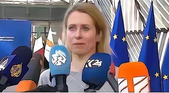 欧盟正式官宣了一个让全球科研界震动的决定：955亿欧元的“地平线欧洲”，从202