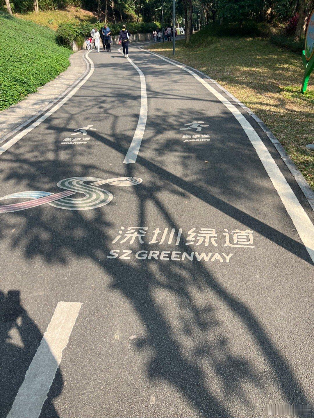 以后可以一边爬山一边看盘！ 