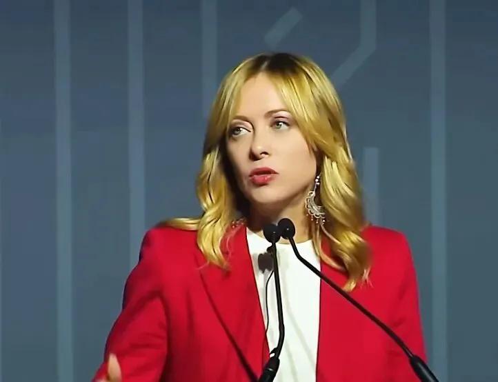 梅洛尼:过去的一年对我们所有人来说都很艰难，但不要担心，因为明年会更糟糕

12