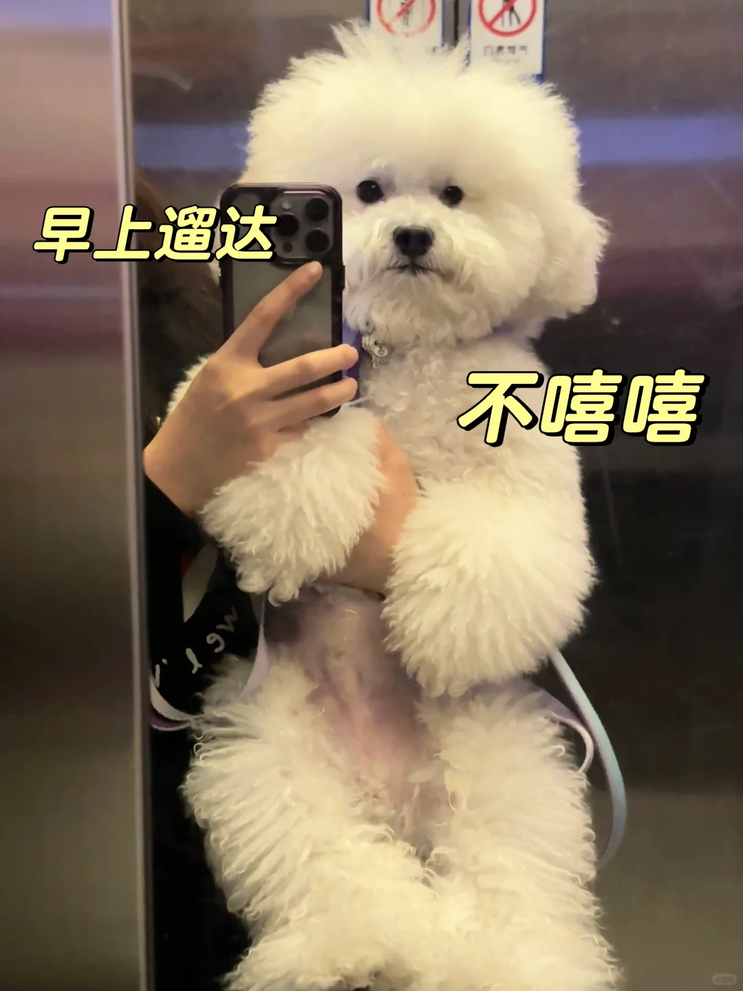 原来小狗早晚也是两幅面孔
