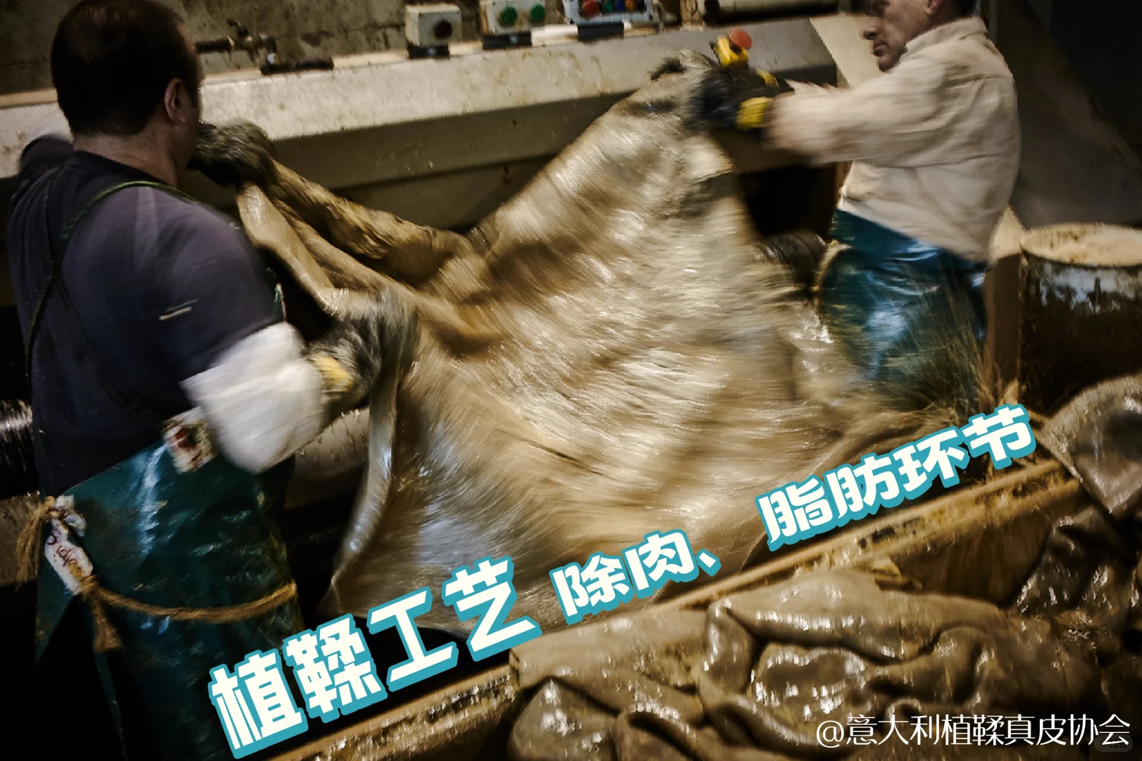托斯卡纳植鞣工艺｜除肉、脂肪环节🙅