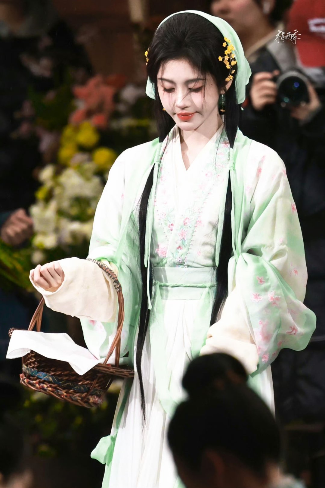 采茶女🌿鞠婧祎
