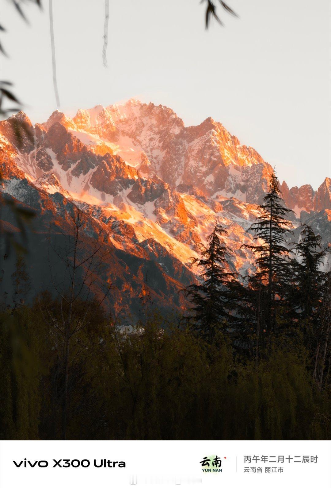 vivo长焦下的鸟类图鉴鸟没打上，雪山图倒是有一堆拍雪山真的没话说，下次拿着长焦