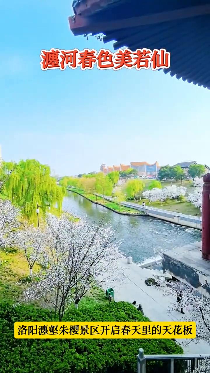 瀍河春色美若仙，洛阳瀍壑朱樱景区开启春天里的天花板。