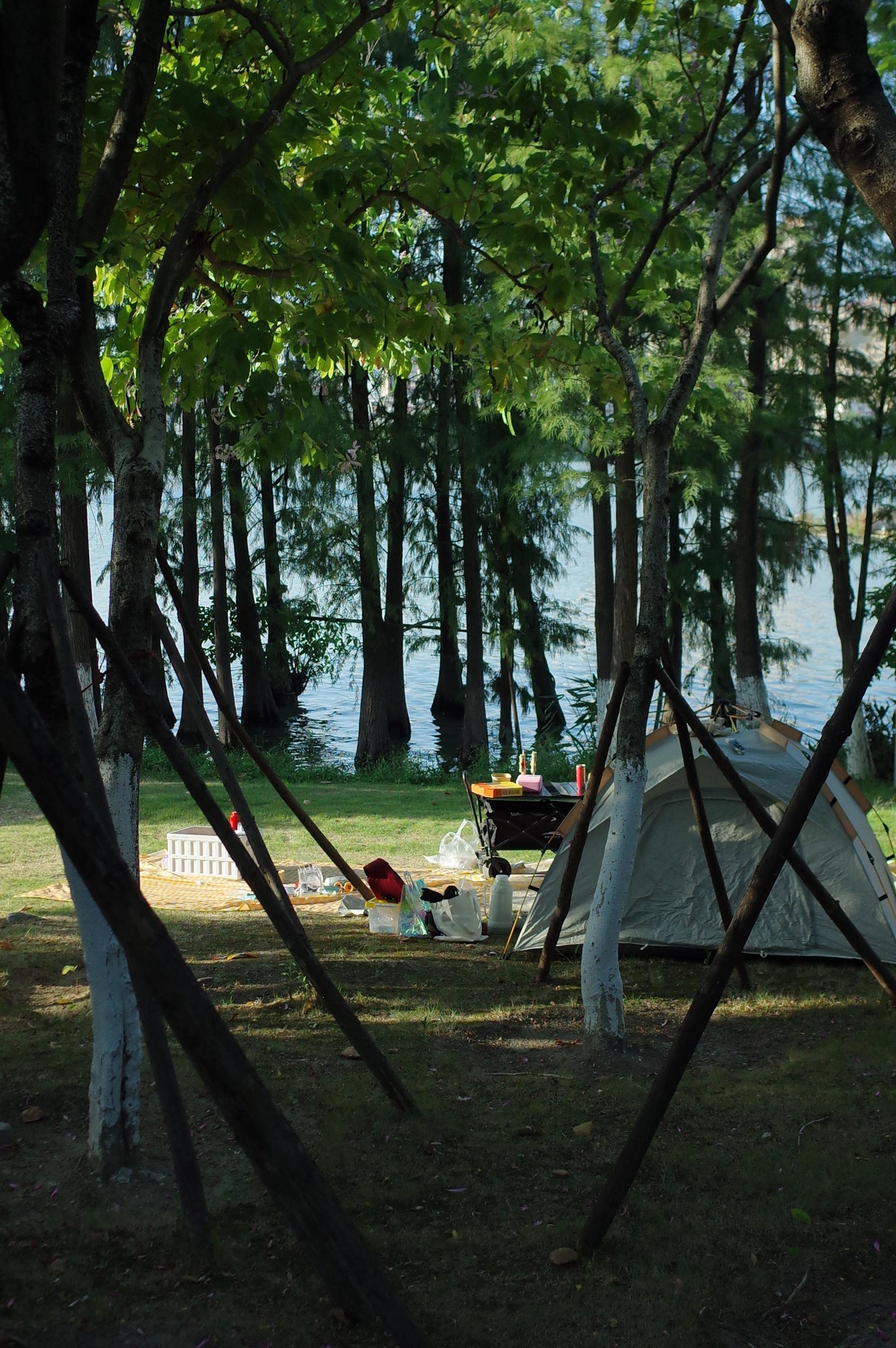 想通电话 问你最近还好吗 