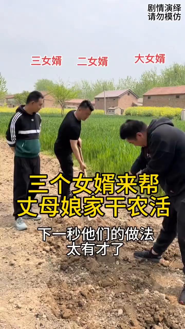 三个女婿来帮丈母娘家干农活，下一秒他们的做法太有才了。
丈母娘将三个女婿拉到地里