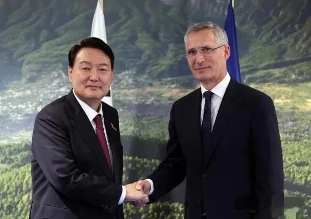 给乌克兰画大饼！韩国总统尹锡悦称，如果乌克兰战场“出现国际社会不能容忍的情况”，