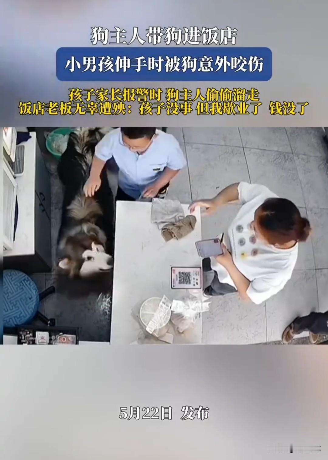 阿拉斯加犬窜进饭店伤人这件事，三方当事人都觉得自己冤。
狗主人：早上起来还没来得
