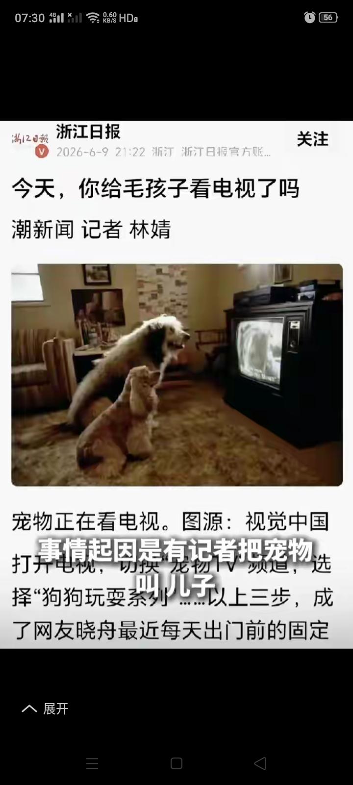 最看不惯那些管宠物狗叫儿子、闺女的人，你这是把自己父母置于何地，你叫狗儿子，那狗