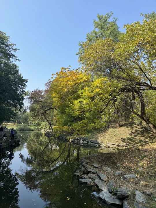 10.14北京秋景，本周值得去的10处黄叶现状