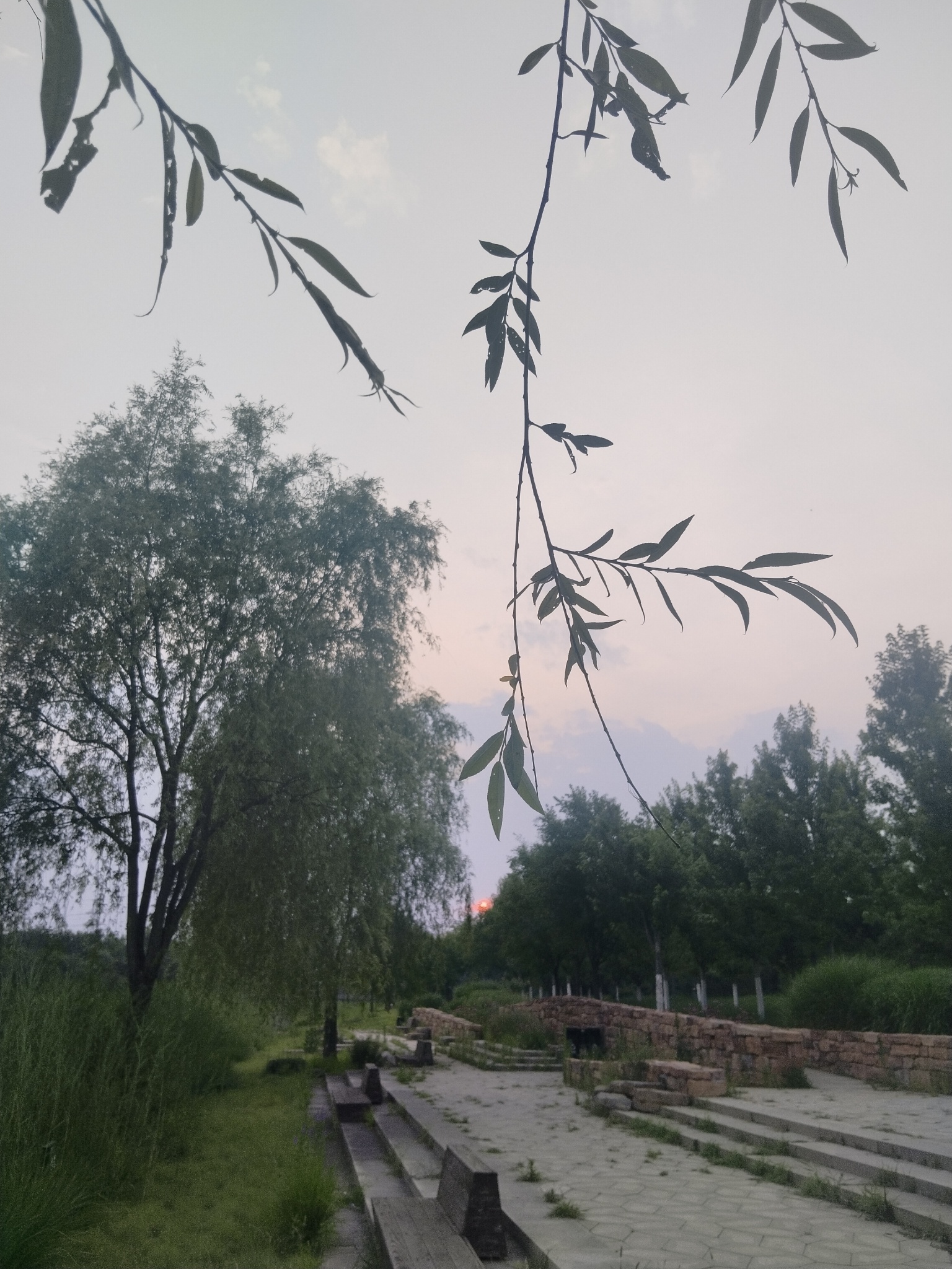 人人都做向阳花。 日光流年，人人都做向阳花，奋起直追……今日份自拍 用照片记录生