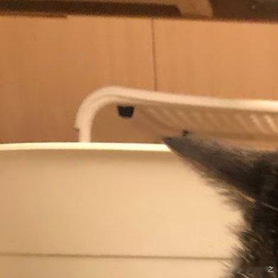 类型很重要吗？感觉才是王道鼠里鼠气的，也是一种不一样的感觉 