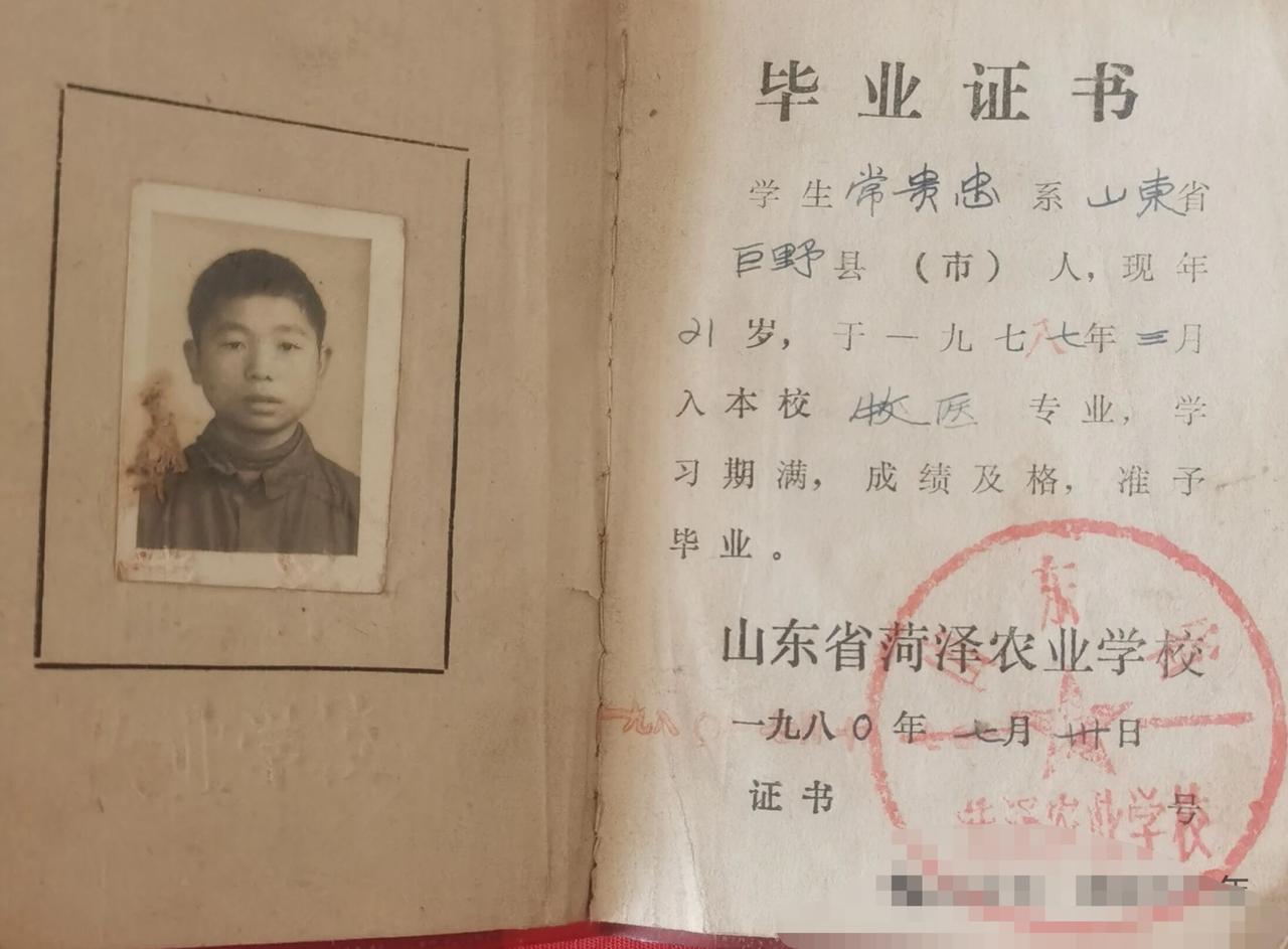 不同年代的毕业证