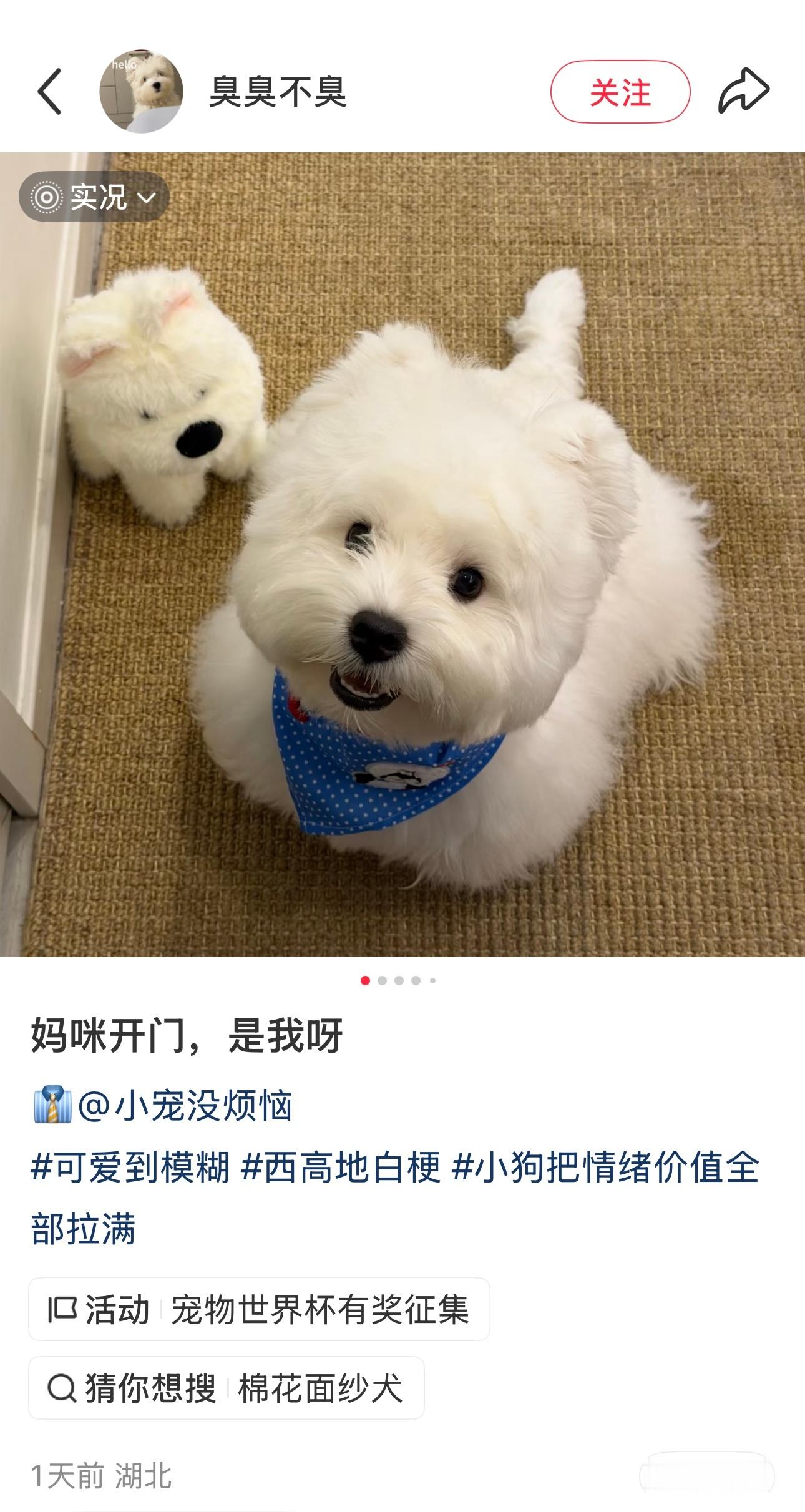 好圆的西瓜地 