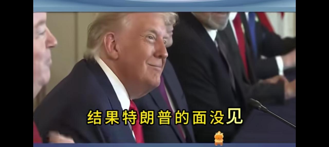 苏林等了四天三夜没见到特朗普，高级别会晤也没谈成。
越南费了九牛二虎之力，目的就