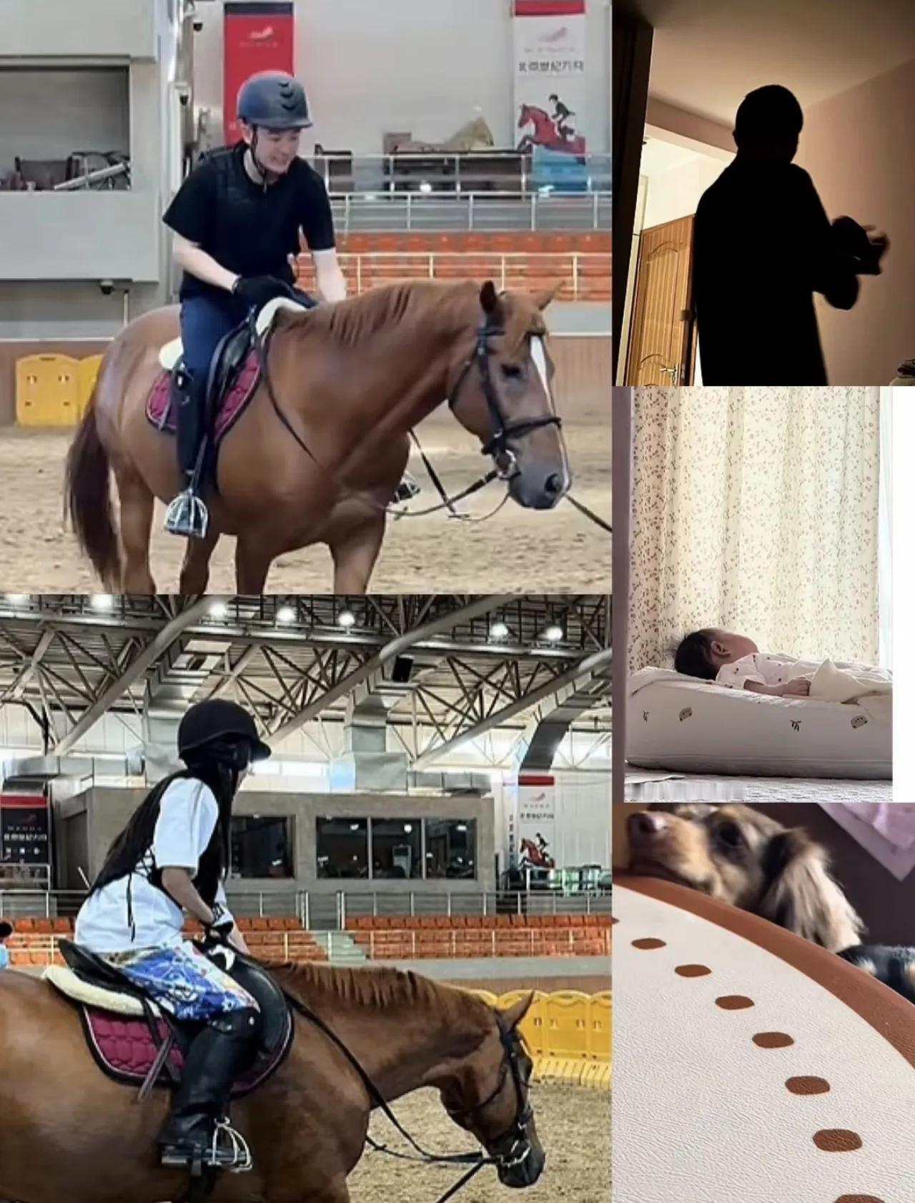 董老三太幸福了！

董董新发生活日常，哄哄董礼貌，骑骑马遛遛狗学学习，生活充实的