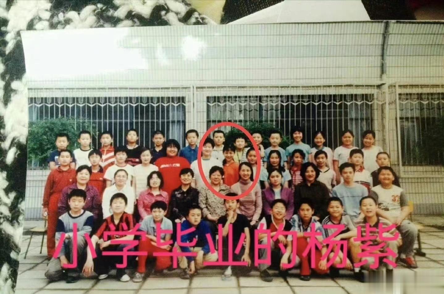 #杨紫小学毕业照# 杨紫完美的诠释了从小美到大，期待播剧《要久久爱》《承欢记》《