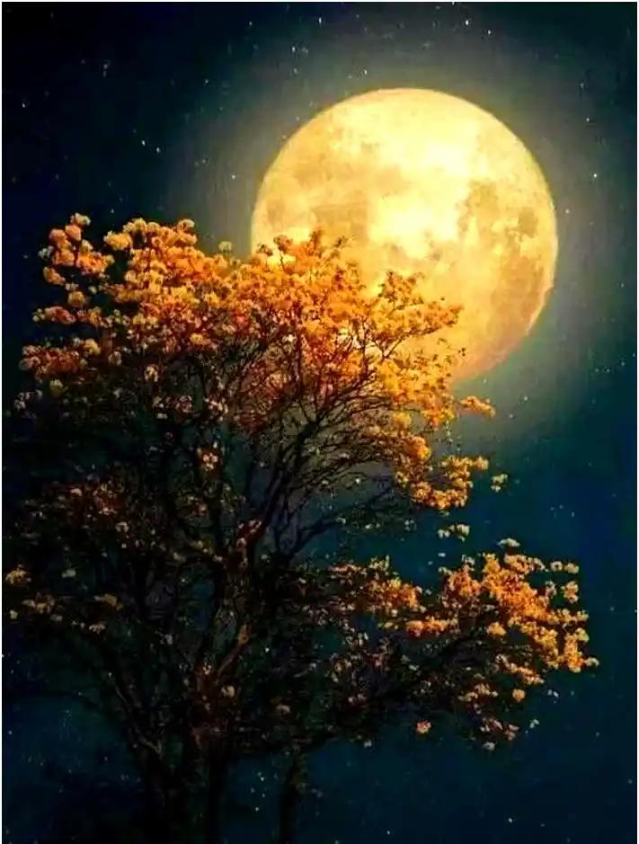 下联：春风低拂暖人心

赏析：上联“秋月高悬照大地”描绘秋夜月明、清辉遍野的静谧