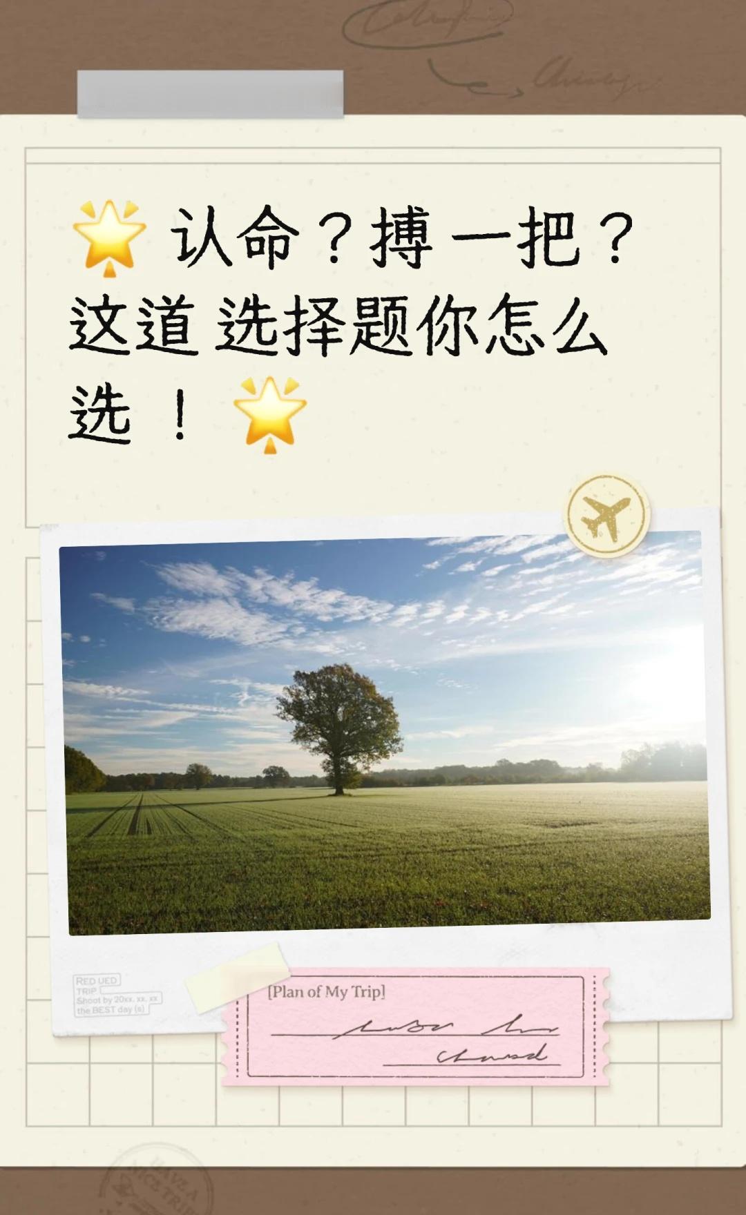 🌟 认命？搏一把？这道选择题你怎么选！ 🌟
停止内卷并不意味着放弃努力，而是