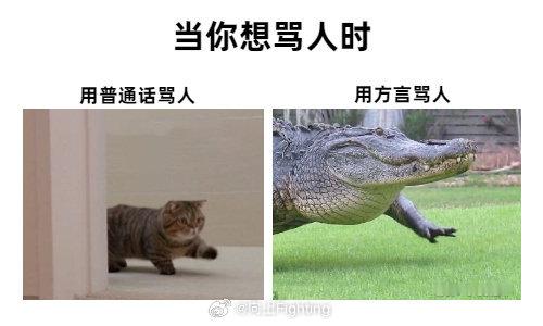 表达能力负分的我↓↓#感觉自己的表达能力在退化怎么办# ​​​