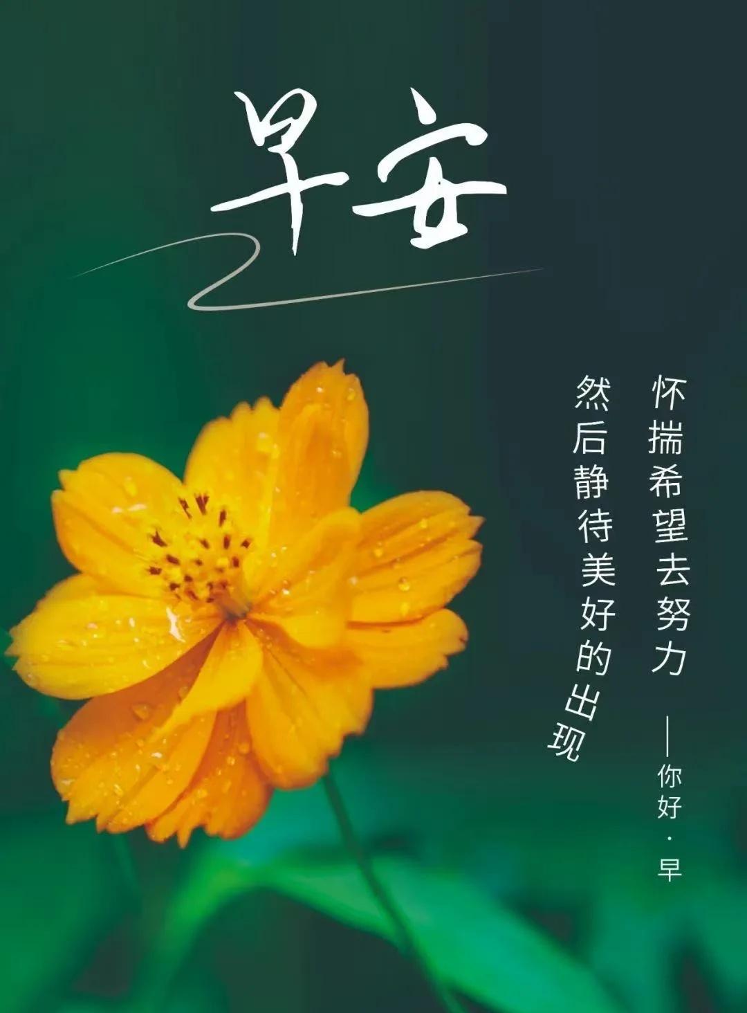 创展十周年创心守护健康守护
