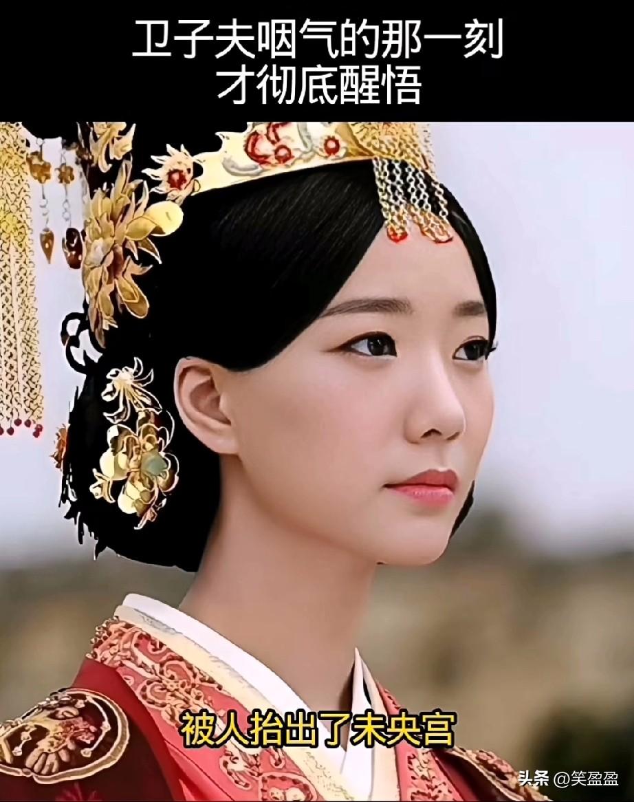 卫子夫咽气的那一刻才彻底醒悟，
护她半生的从不是龙椅上的汉武帝，也不是战无不胜的